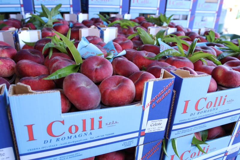 Celeste, la vera pesca piatta da snack