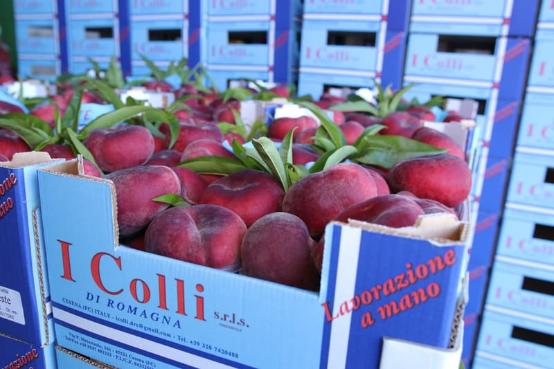 Celeste, la vera pesca piatta da snack