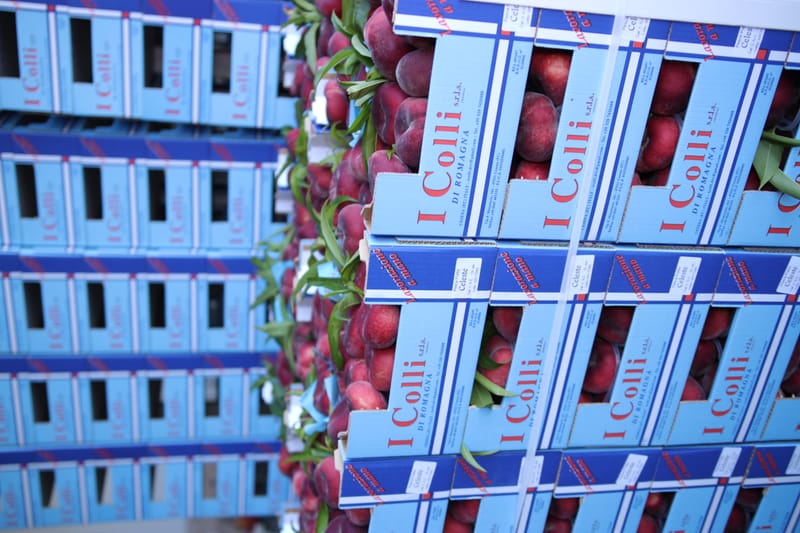 Celeste, la vera pesca piatta da snack