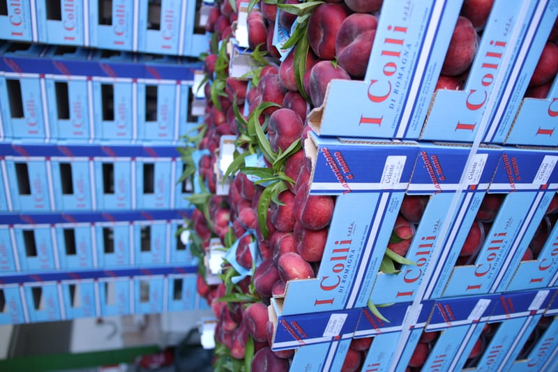 Celeste, la vera pesca piatta da snack
