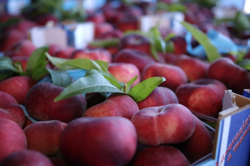 Celeste, la vera pesca piatta da snack
