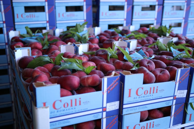 Celeste, la vera pesca piatta da snack