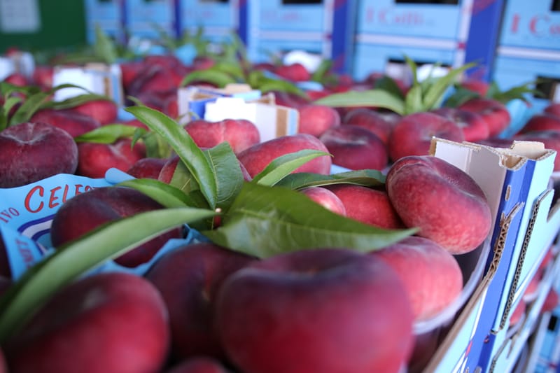 Celeste, la vera pesca piatta da snack