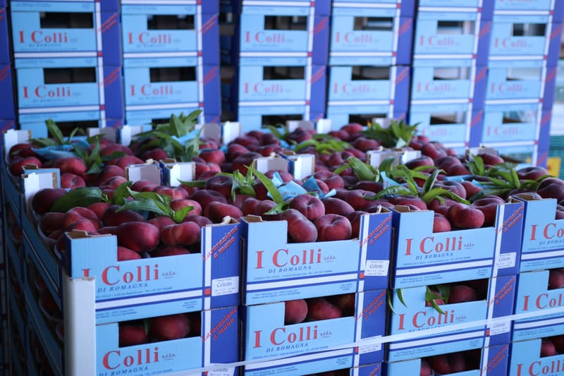 Celeste, la vera pesca piatta da snack