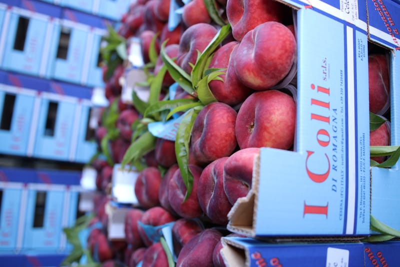 Celeste, la vera pesca piatta da snack