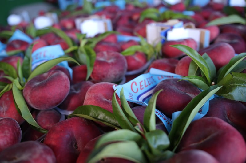 Celeste, la vera pesca piatta da snack