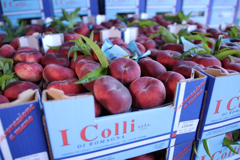 Celeste, la vera pesca piatta da snack