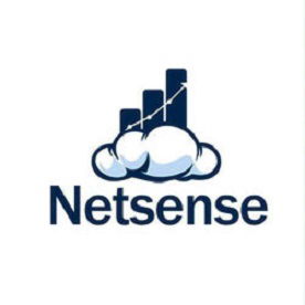 Netsense - ERP System Provider in Malaysia