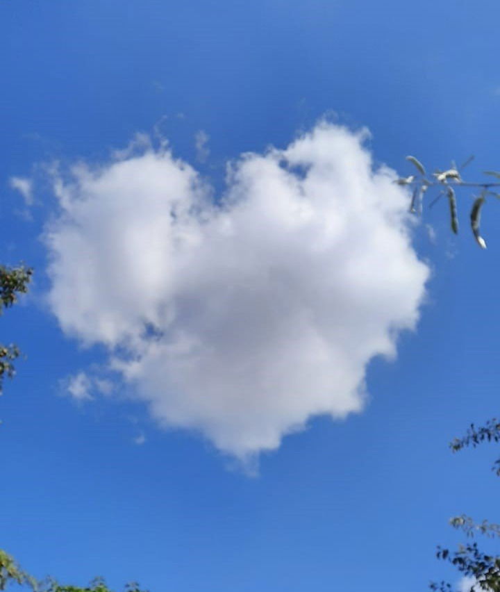 Seminar über das Sanathana Sai Sanjeevini Heilsystem