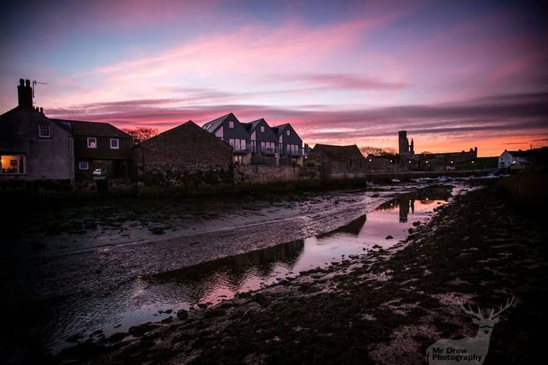 Landscapes & Architecture