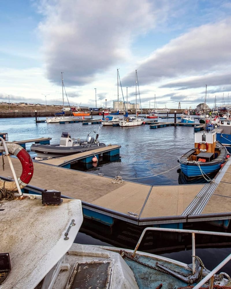 Landscapes & Architecture