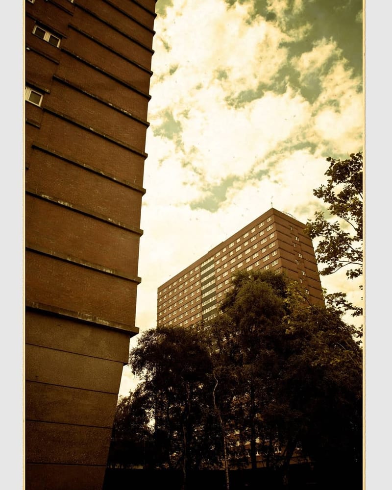 Landscapes & Architecture