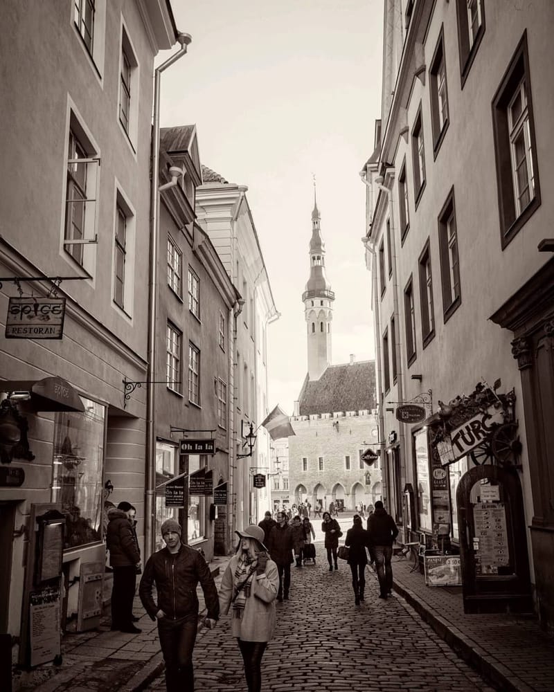 Landscapes & Architecture