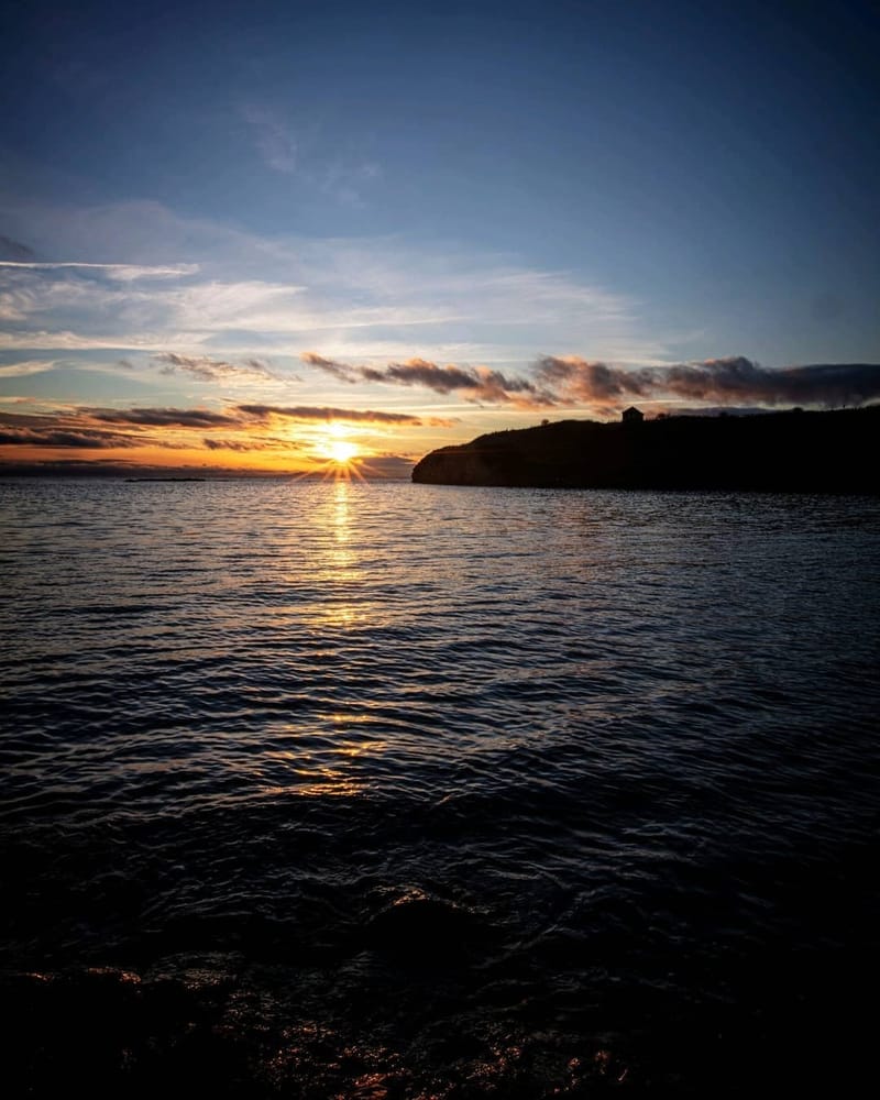 Landscapes & Architecture