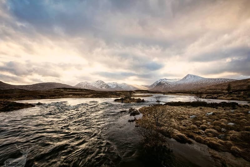 Landscapes & Architecture