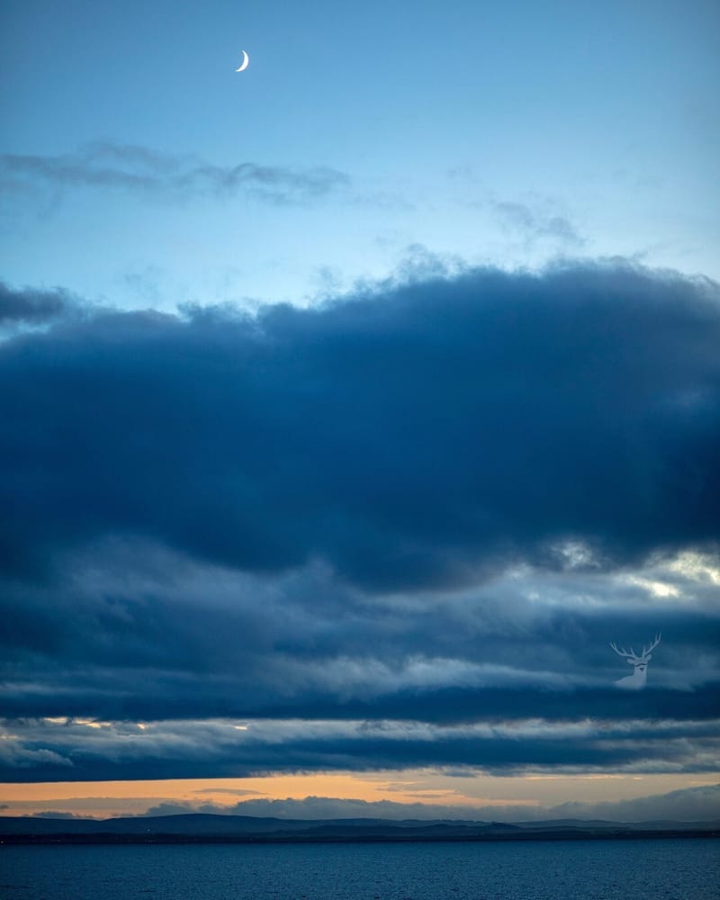 Landscapes & Architecture