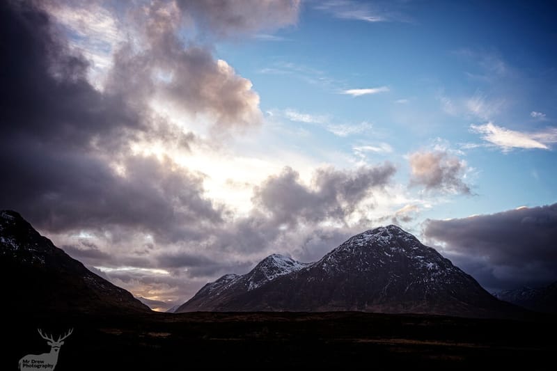 Landscapes & Architecture