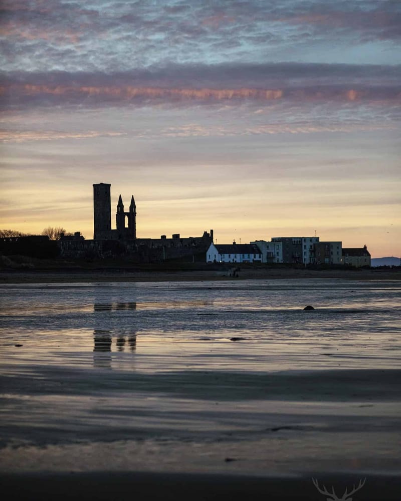 Landscapes & Architecture