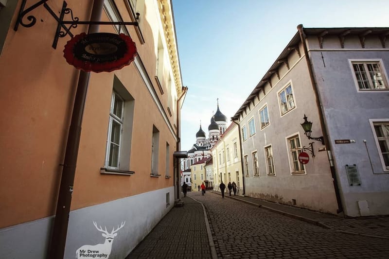 Landscapes & Architecture