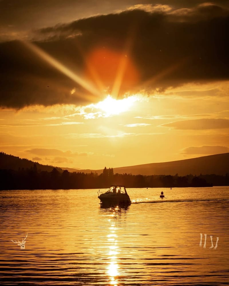 Landscapes & Architecture