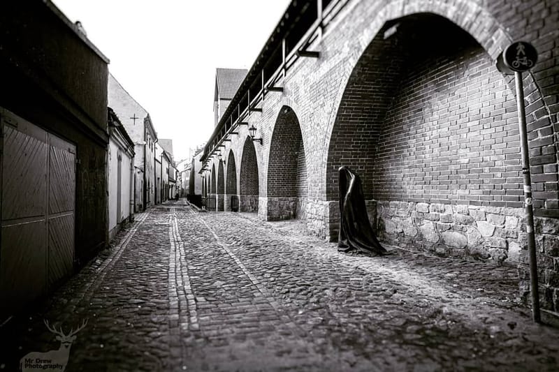 Landscapes & Architecture