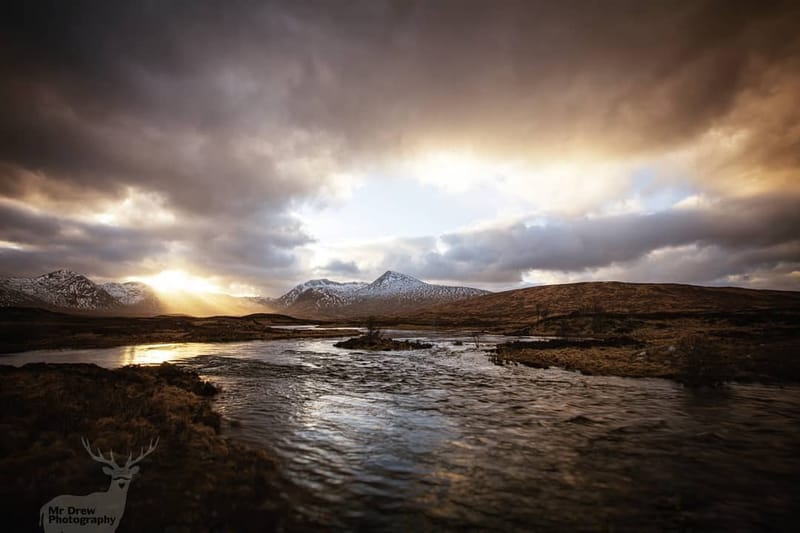 Landscapes & Architecture