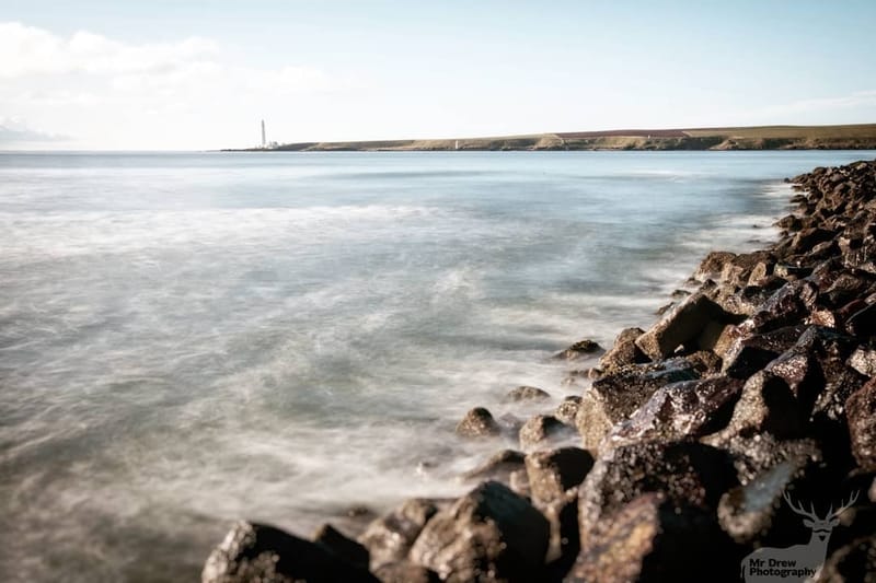 Landscapes & Architecture