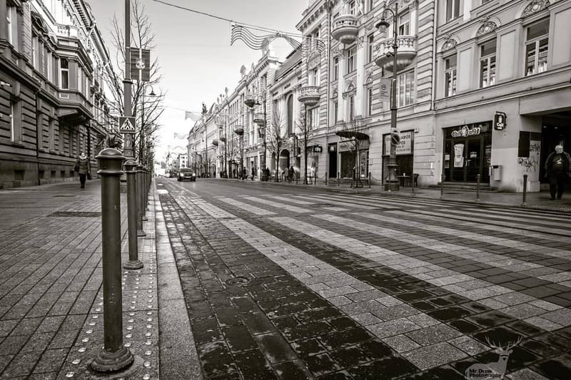 Landscapes & Architecture