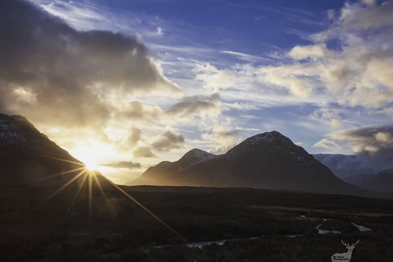 Landscapes & Architecture