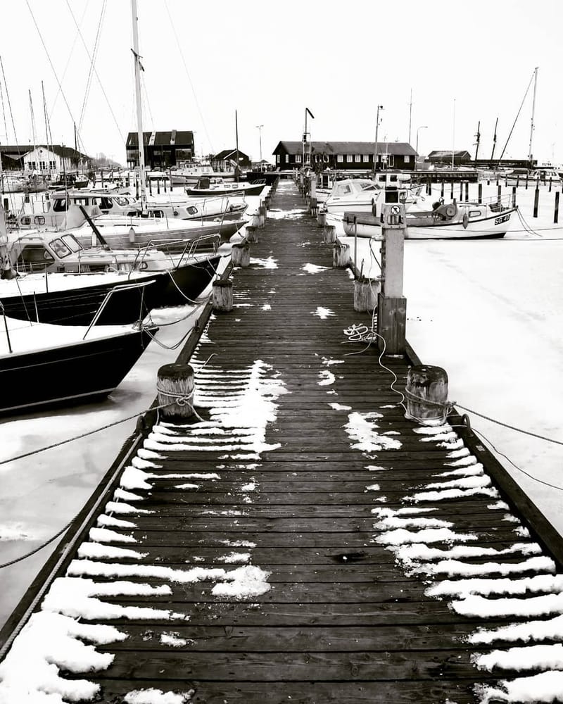 Landscapes & Architecture