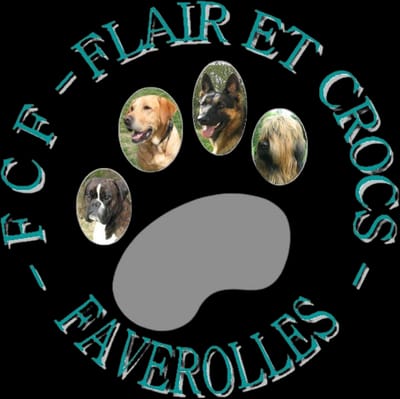 Flair et Crocs Faverolles