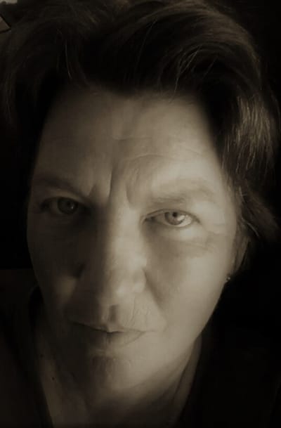 l&#039;artiste image