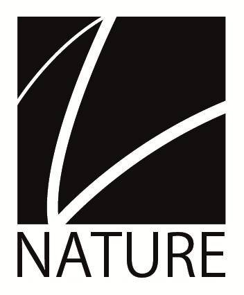 I study architecture