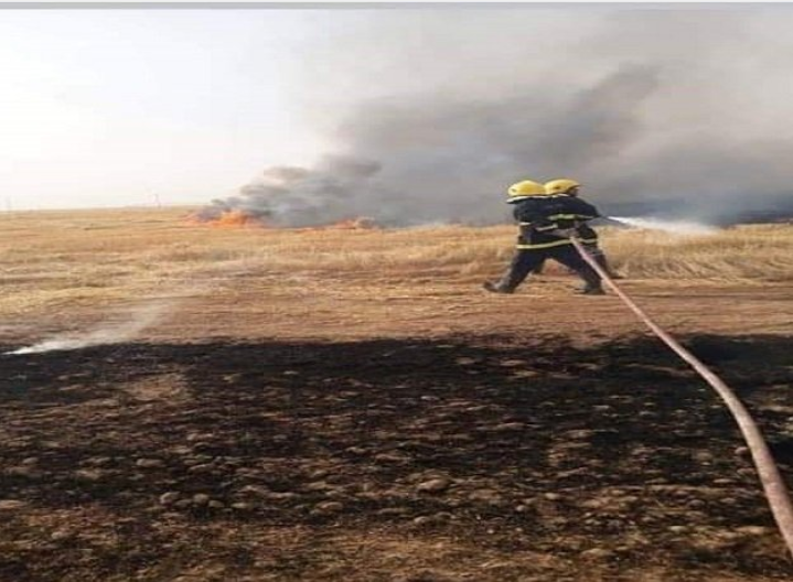 إنقاذ 120 دونم حنطة قبل أن تلتهمها النيران في صلاح الدين