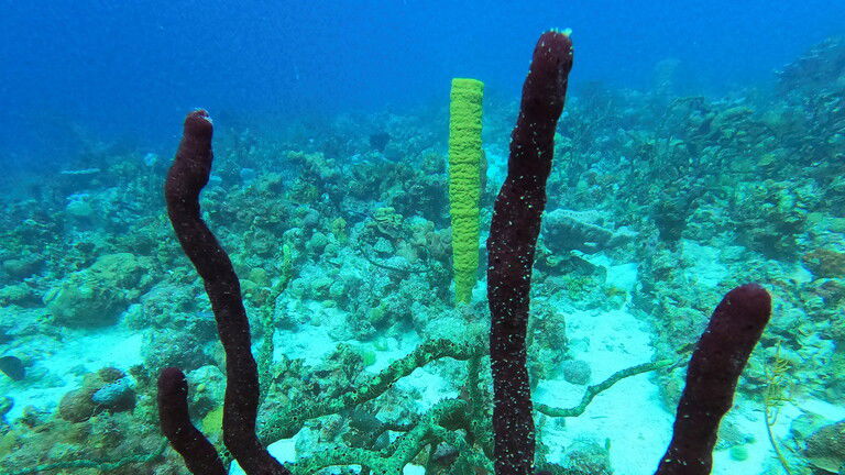 العلماء يعثرون على آثار لمواد "غير أرضية" في المحيط