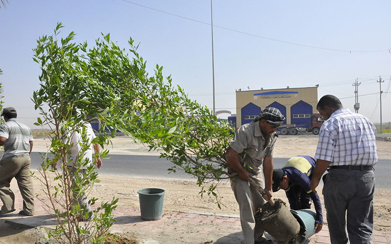 أمانة بغداد تقرر فرض غرامة 5 ملايين دينار على كل من يقطع شجرة
