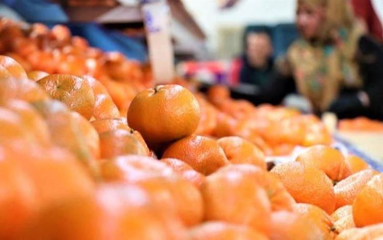 العراق ثاني مستوردي الحمضيات التركية