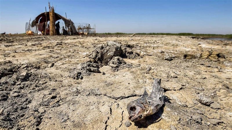 تحذيرات من أزمة نزوح في العراق ودعوة لتشكيل خلية طوارئ بشأن الجفاف