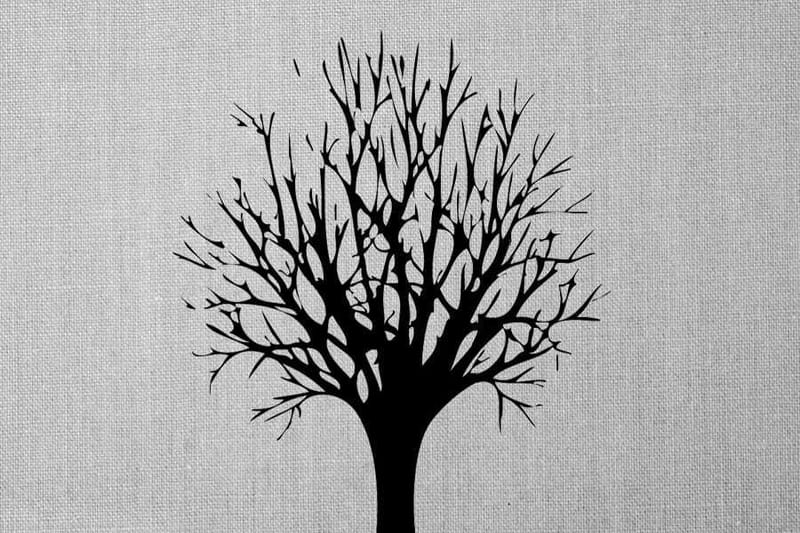 في ظل الجفاف.. هل مبادرة الـ5 ملايين شجرة ونخلة "منطقية"؟