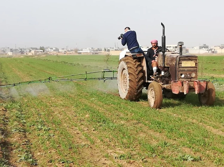 الزراعة تعلن إحالة مليوني دونم للاستثمار في السماوة