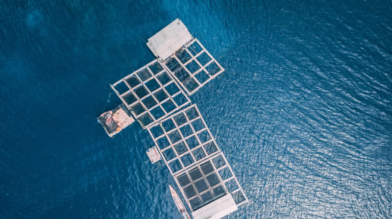 بالفيديو..أطنان من المخدرات عائمة في عرض البحر