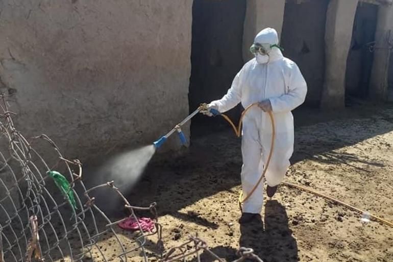 صحة النجف الأشرف تسجل حالة وفاة وإصابة 6 أشخاص بالحمى النزفية