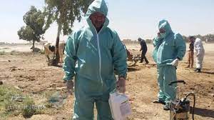 الحمى النزفية.. ناقوس الخطر يدق من ذي قارذي قار