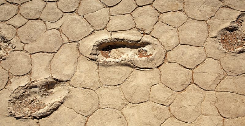 تحديد موقع "أقدم أثر بشري" معروف في العالم