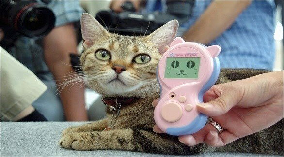 هل يفعلها الذكاء الاصطناعي ويتواصل مع الحيوانات؟