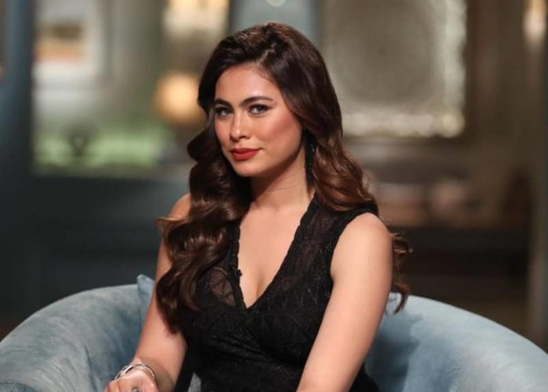 هاجر أحمد تطلب منع استخدام حديثي الولادة في تصوير الأعمال الفنية