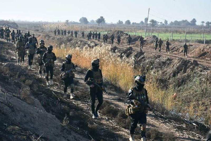 تنفيذ عملية تفتيش مشتركة في أهوار سامراء