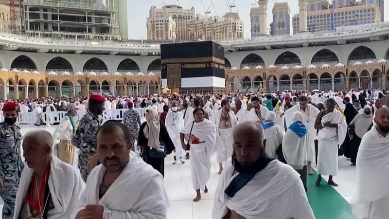 جمعية الصداقة الإيطالية- العربية تشيد بجهود السعودية لإتمام موسم الحج