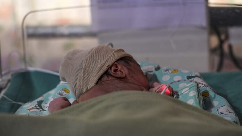 لبنان.. كلب شارد يجر طفلة حديثة الولادة وضعت في كيس للقمامة