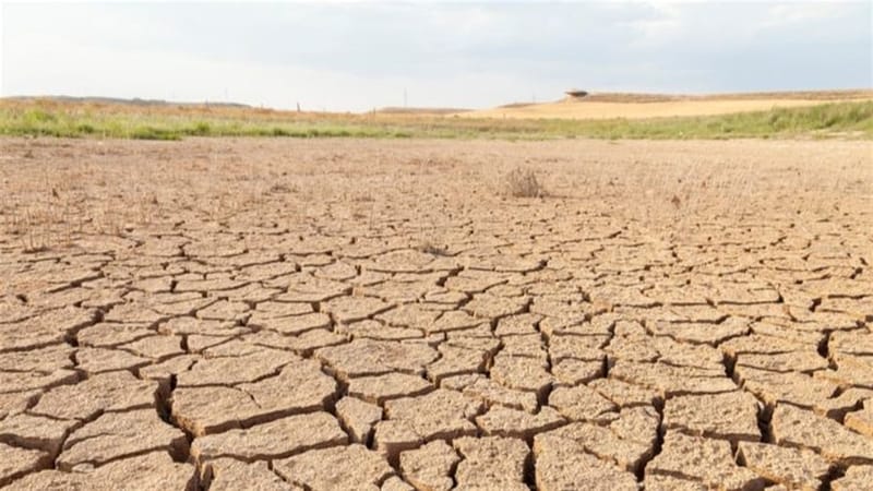 تصحّر 70% من الأراضي الزراعيَّة.. هل تدرك الحكومة العراقية مخاطر المرحلة المقبلة؟